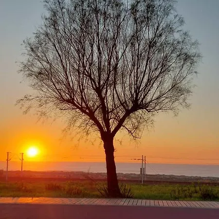 Monte Lírio Espinho (Aveiro)