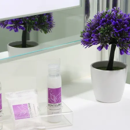 Monte Lirio Hotel Espinho (Aveiro)